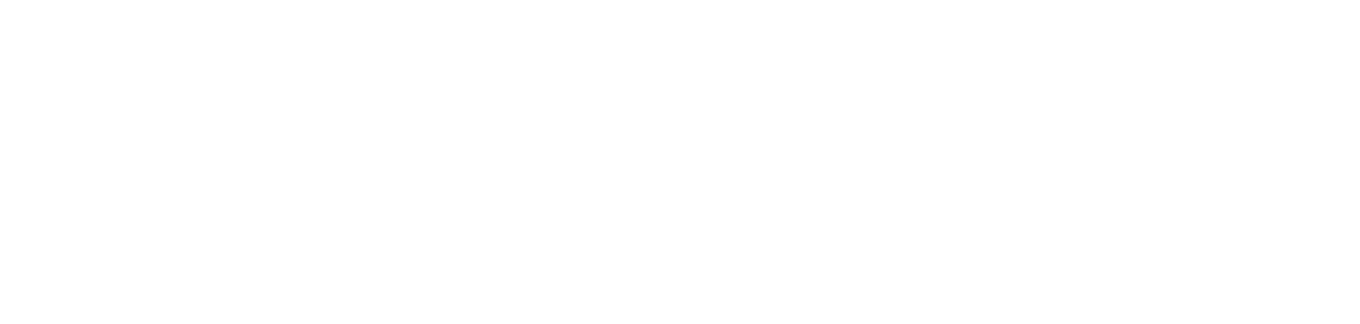NiteCapp Logo Full